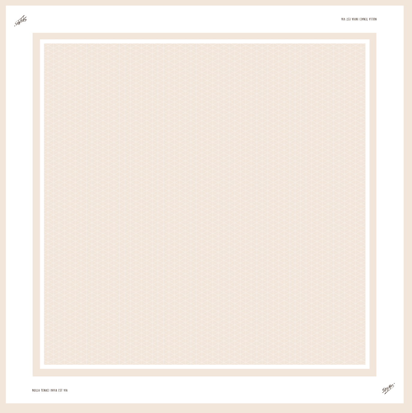 Silk scarf - beige