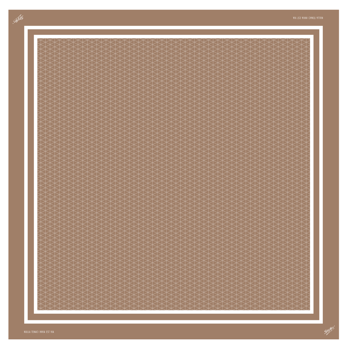 Silk scarf - camel
